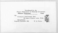 Uromyces silphii image